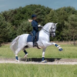 De Britt Equestrian AW25 beenbeschermers in donkerblauw zijn stijlvol en functioneel. Ze beschermen de benen van je paard tegen stoten en schuren tijdens training en wedstrijden. Dankzij de zachte voering en stevige klittenbandsluitingen blijven ze comfortabel én goed op hun plaats zitten. Ideaal voor dagelijks gebruik met een elegante Britt Equestrian uitstraling.